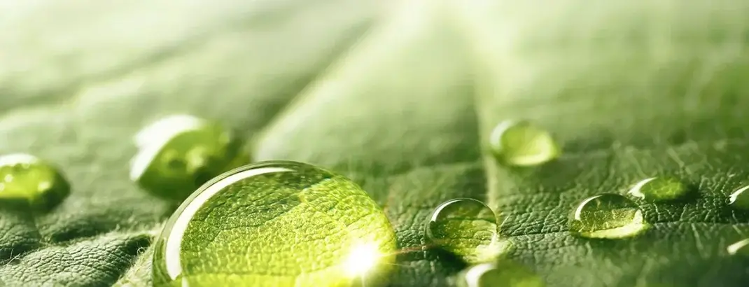 Ricoh named in TIME World's Most Sustainable Companies of 2025